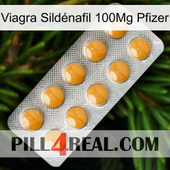 Viagra Sildénafil 100Mg Pfizer levitra1